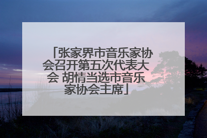 张家界市音乐家协会召开第五次代表大会 胡情当选市音乐家协会主席
