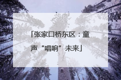 张家口桥东区：童声“唱响”未来