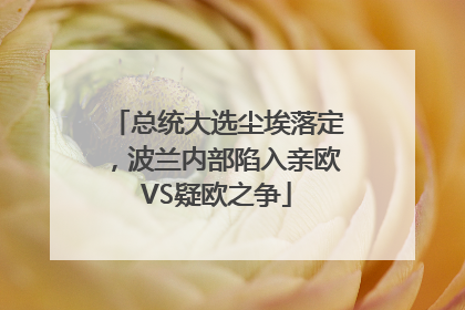 总统大选尘埃落定，波兰内部陷入亲欧VS疑欧之争