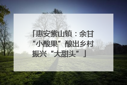 惠安紫山镇：余甘“小酸果”酿出乡村振兴“大甜头”
