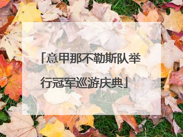 意甲那不勒斯队举行冠军巡游庆典