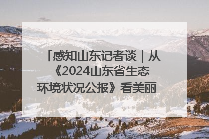 感知山东记者谈｜从《2024山东省生态环境状况公报》看美丽山东建设的“成绩单”与“任务书”