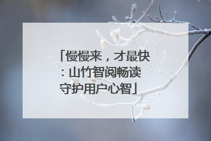 慢慢来，才最快：山竹智阅畅读 守护用户心智