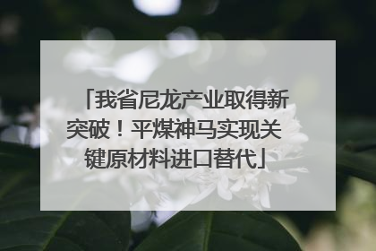 我省尼龙产业取得新突破！平煤神马实现关键原材料进口替代