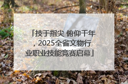 技于指尖 俯仰千年，2025全省文物行业职业技能竞赛启幕