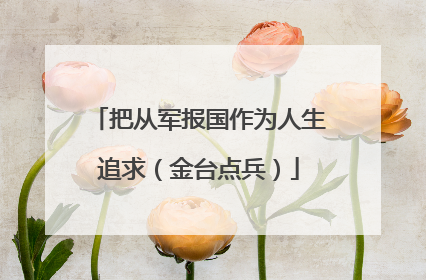 把从军报国作为人生追求（金台点兵）