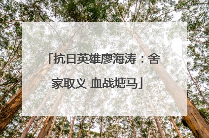 抗日英雄廖海涛：舍家取义 血战塘马