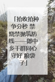 抢收抢种争分秒 禁烧禁抛筑防线——郎中乡干群同心守好 粮袋子