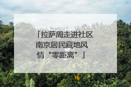 拉萨周走进社区 南京居民藏地风情“零距离”