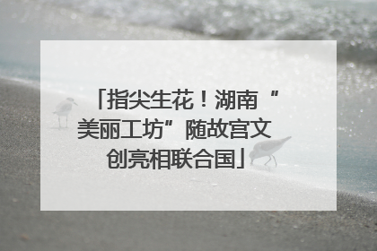 指尖生花！湖南“美丽工坊”随故宫文创亮相联合国