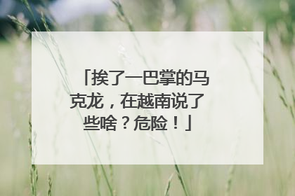 挨了一巴掌的马克龙，在越南说了些啥？危险！