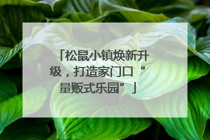 松鼠小镇焕新升级，打造家门口“量贩式乐园”