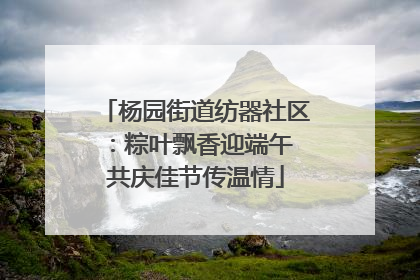 杨园街道纺器社区：粽叶飘香迎端午 共庆佳节传温情