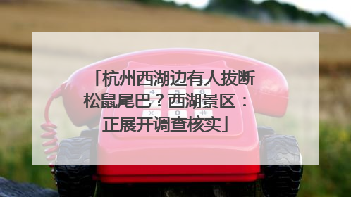 杭州西湖边有人拔断松鼠尾巴？西湖景区：正展开调查核实