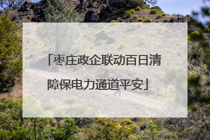 枣庄政企联动百日清障保电力通道平安