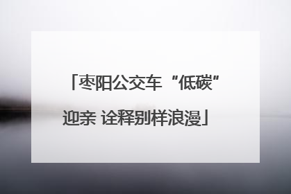 枣阳公交车“低碳”迎亲 诠释别样浪漫