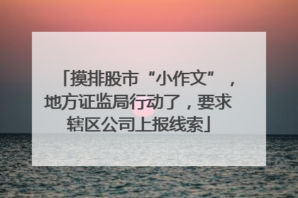 摸排股市“小作文”，地方证监局行动了，要求辖区公司上报线索