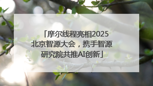 摩尔线程亮相2025北京智源大会，携手智源研究院共推AI创新
