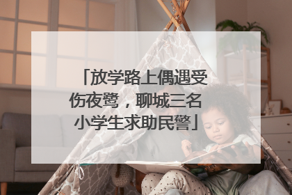 放学路上偶遇受伤夜鹭，聊城三名小学生求助民警