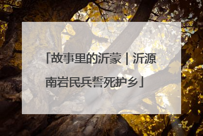 故事里的沂蒙｜沂源南岩民兵誓死护乡