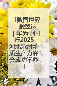数智世界 一触冀达｜华为中国行2025河北沧州新质生产力峰会成功举办