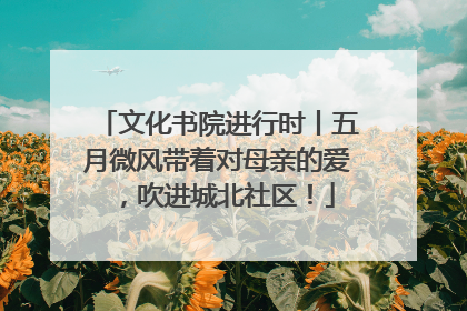 文化书院进行时丨五月微风带着对母亲的爱，吹进城北社区！