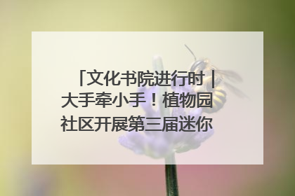 文化书院进行时｜大手牵小手！植物园社区开展第三届迷你马拉松活动