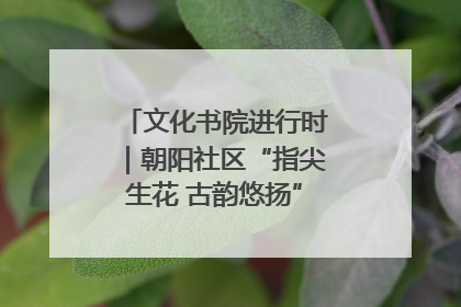 文化书院进行时｜朝阳社区“指尖生花 古韵悠扬”公益课堂开课了