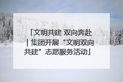 文明共建 双向奔赴｜集团开展“文明双向共建”志愿服务活动