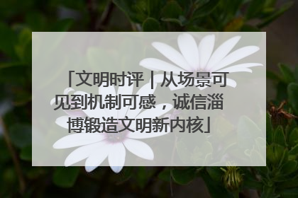 文明时评｜从场景可见到机制可感，诚信淄博锻造文明新内核