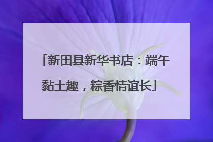 新田县新华书店：端午黏土趣，粽香情谊长