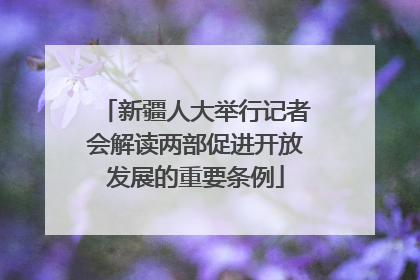新疆人大举行记者会解读两部促进开放发展的重要条例