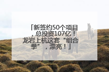 新签约50个项目，总投资107亿！龙岩上杭这套“组合拳”，漂亮！