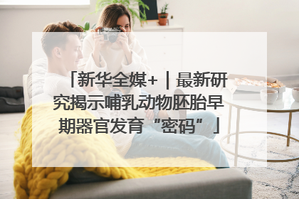 新华全媒+｜最新研究揭示哺乳动物胚胎早期器官发育“密码”