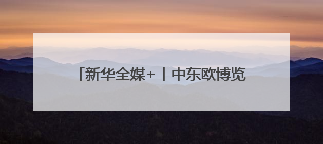 新华全媒+丨中东欧博览会上的“数智”科技秀