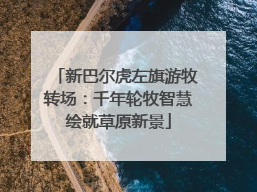 新巴尔虎左旗游牧转场：千年轮牧智慧绘就草原新景