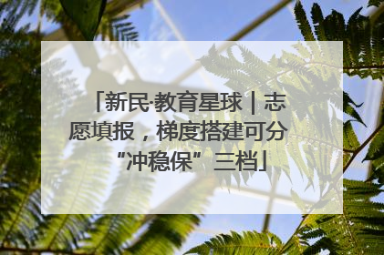 新民·教育星球｜志愿填报，梯度搭建可分“冲稳保”三档