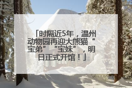 时隔近5年，温州动物园再迎大熊猫“宝弟”“宝妹”，明日正式开馆！