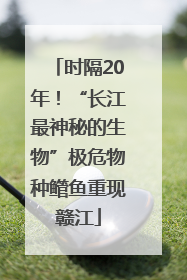 时隔20年！“长江最神秘的生物”极危物种鳤鱼重现赣江