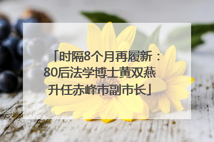 时隔8个月再履新：80后法学博士黄双燕升任赤峰市副市长
