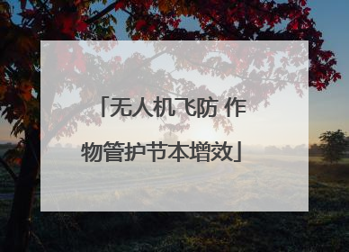 无人机飞防 作物管护节本增效