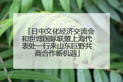 日中文化经济交流会和世博国际联盟上海代表处一行来山东巨野共商合作新机遇