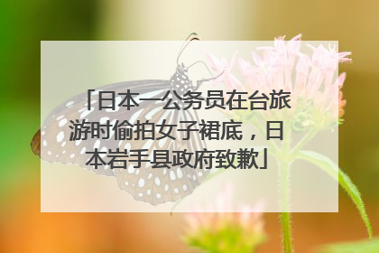 日本一公务员在台旅游时偷拍女子裙底，日本岩手县政府致歉