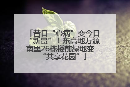 昔日“心病”变今日“新景”！东高地万源南里26栋楼前绿地变“共享花园”
