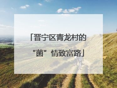 晋宁区青龙村的“菌”情致富路