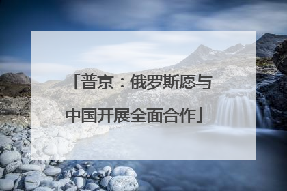 普京：俄罗斯愿与中国开展全面合作