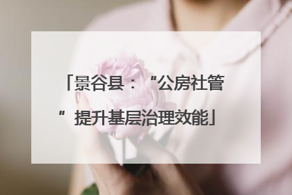 景谷县：“公房社管”提升基层治理效能