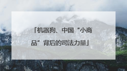 机器狗、中国“小商品”背后的司法力量