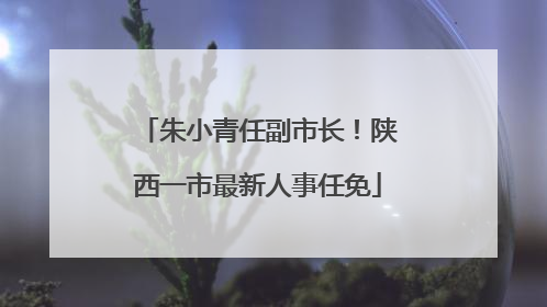 朱小青任副市长！陕西一市最新人事任免