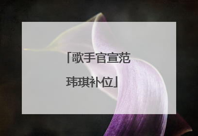 歌手官宣范玮琪补位